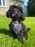 Juneteenth Afro Pride Pet Bandana - Black Decorative Dog & Cat Scarf