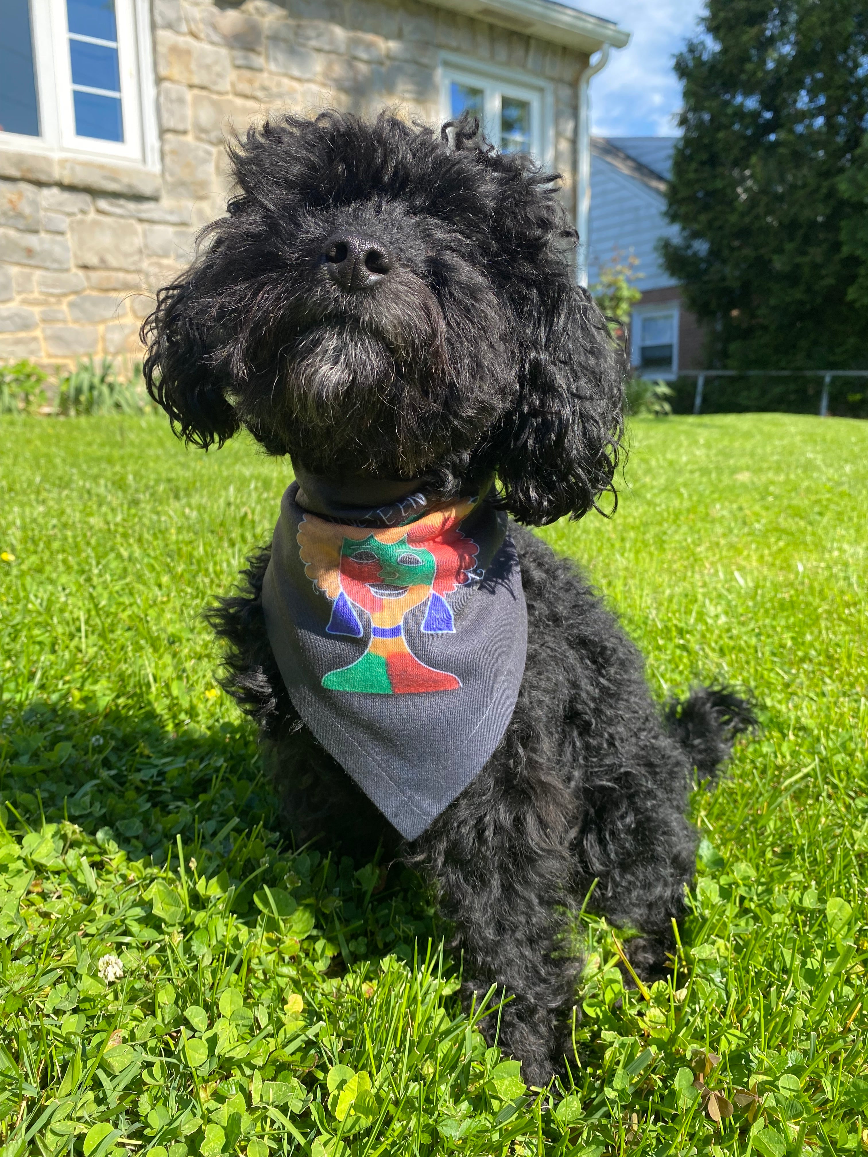 Juneteenth Afro Pride Pet Bandana - Black Decorative Dog & Cat Scarf