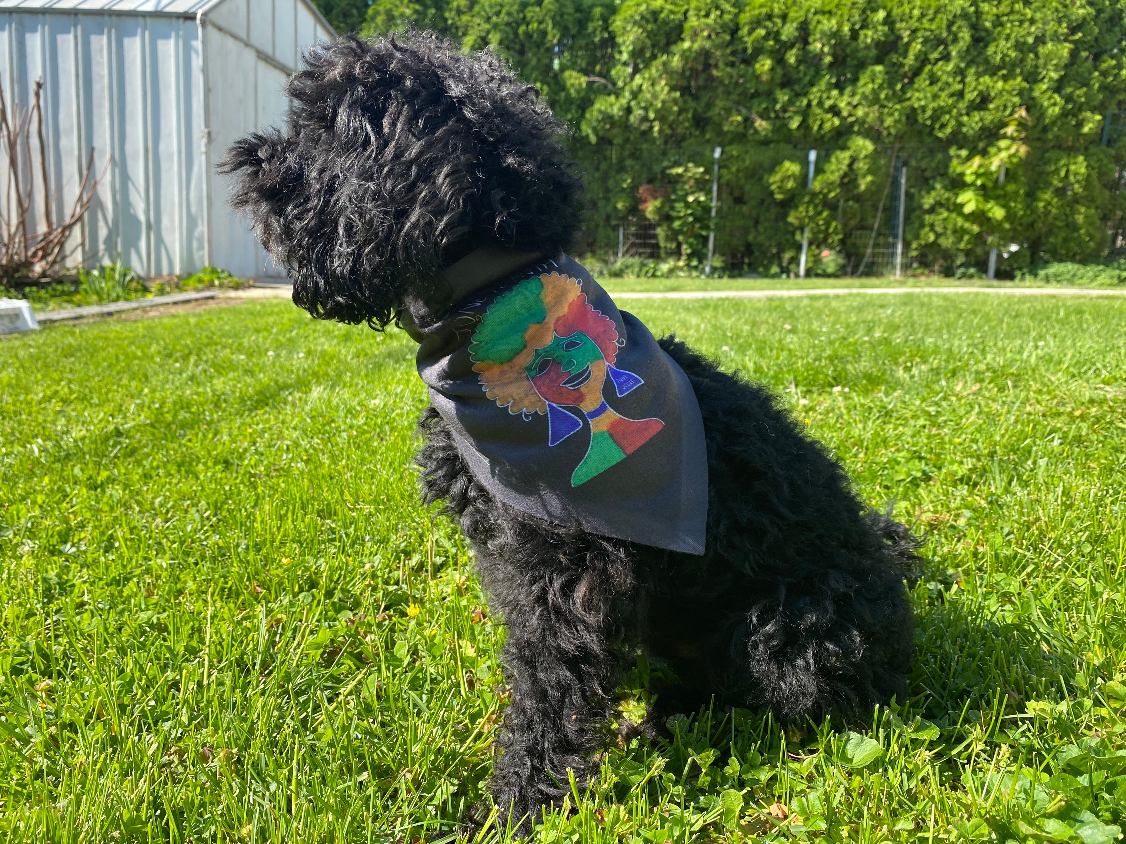 Juneteenth Afro Pride Pet Bandana - Black Decorative Dog & Cat Scarf