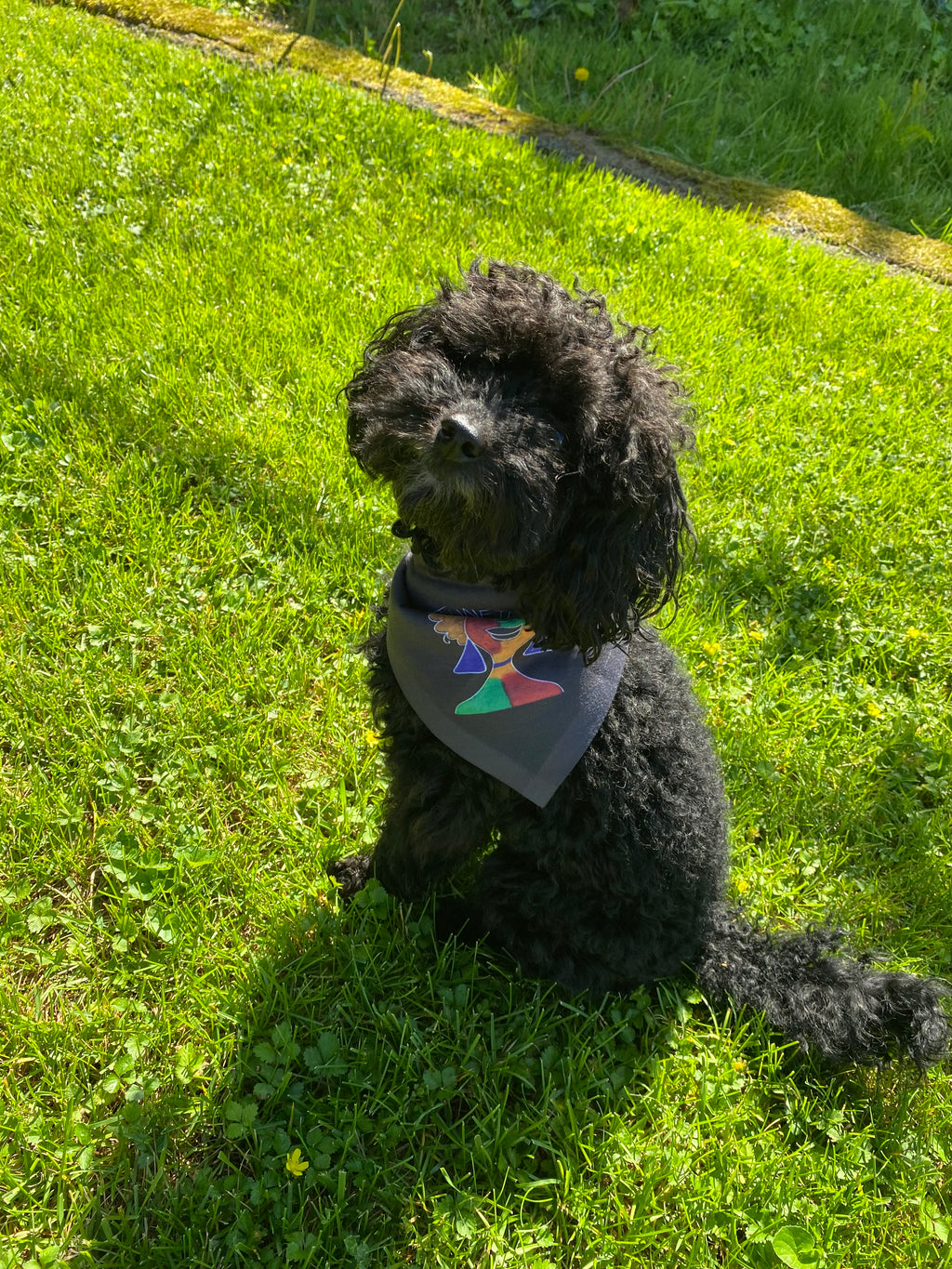 Juneteenth Afro Pride Pet Bandana - Black Decorative Dog & Cat Scarf